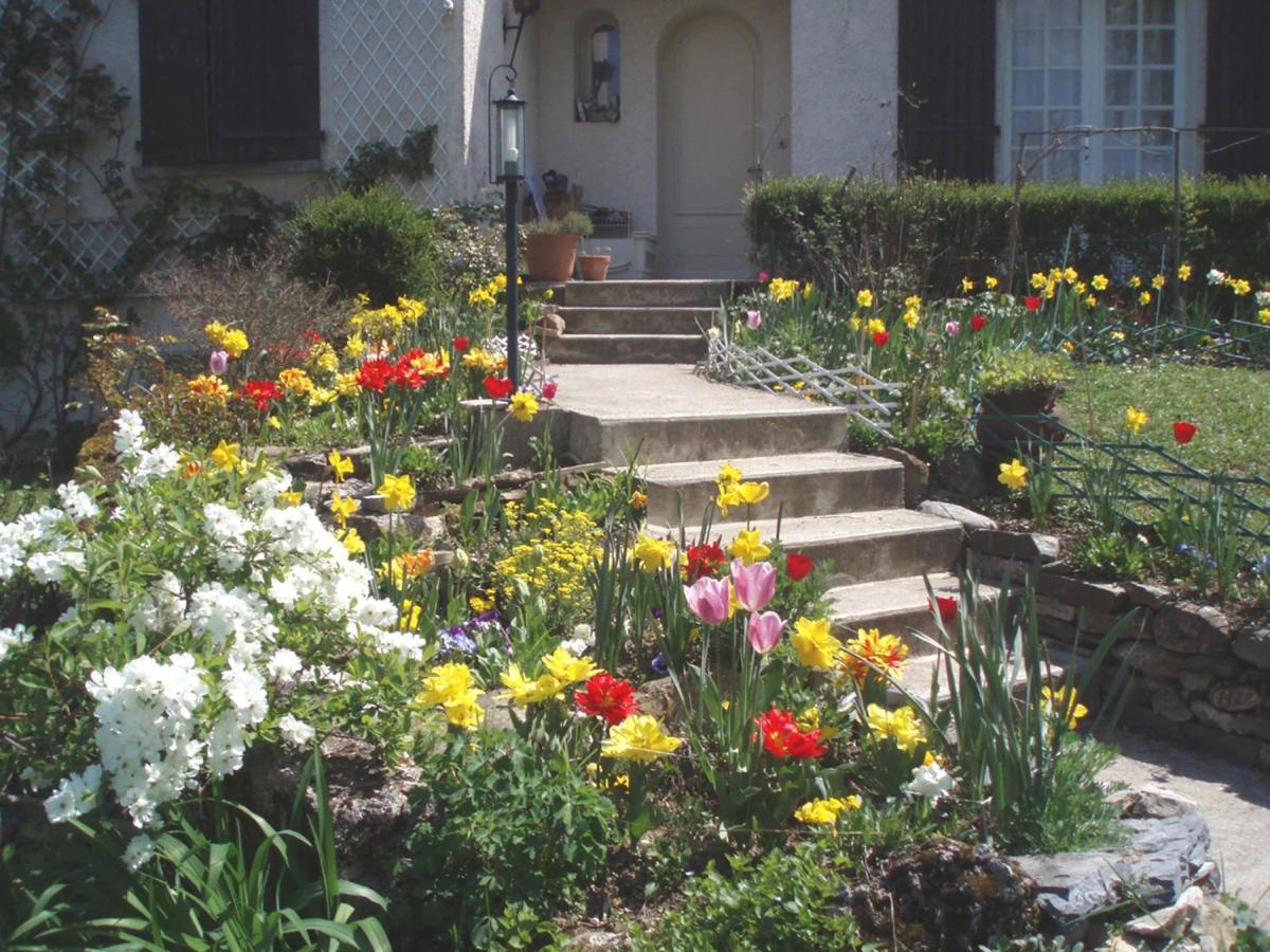 Au Soleil D'Albi Bed & Breakfast Exterior photo